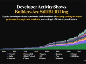 Developer Activity Shows Healthy Growth of the Crypto Space