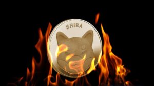 Shiba Inu Burns 111 Million SHIB Tokens, Here’s How Burn Rate Reacted