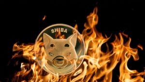 SHIB Burn Rate Spikes 245%, Here’s What Is Happening to Price