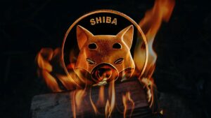 22 Million SHIB Burned in Week as Shiba Inu Burning Takes a Dive