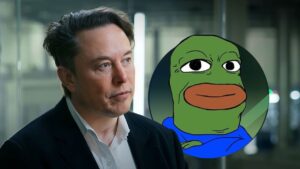 Elon Musk’s Tweet Sends BOB Up 43%: Here’s What You’ve Missed