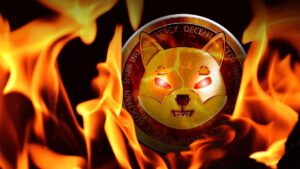 ‘Diabolic Burns’ Of SHIB Take Place as Burn Rate Jumps 666%: Details