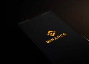 Binance Rolls Out Zero-Fee Stablecoin But Hits Pause Soon After: Here’s Why
