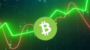 Bitcoin Cash (BCH) Registers 28% Gain – How Long Will It Last?