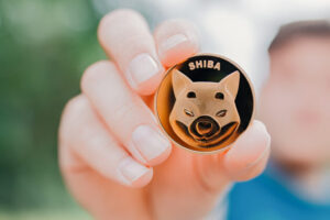 Bitrue Crypto Exchange Launches Shiba Inu Staking Pool With 10% APY