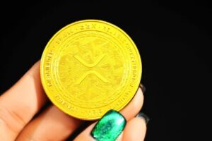 Here’s What On-Chain Data Reveals About XRP Rally