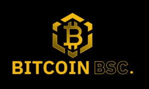 Bitcoin BSC Crypto ICO Reaches 50% Of Soft Cap After Raising Almost $2 Millions in 10 Days