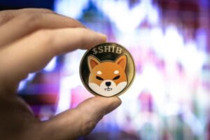 Worried About Shiba Inu Price? Take A Look At These Recent Developments
