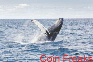 Bitcoin Rebounds After Nearing Cost Basis Of Short-Term Whales