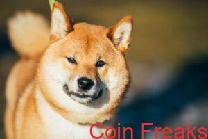 Major Crypto Investor And Analyst Reveals Why Shiba Inu Is Destined To Make It