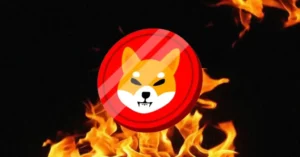 Shiba Inu Coin Burns in July? Analysts’ Shib Price Predictions